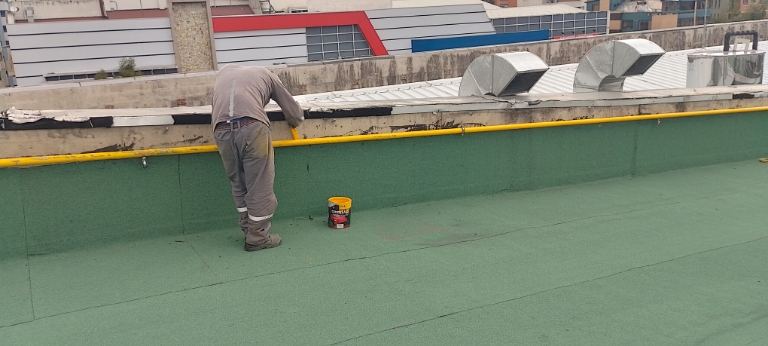 Proyecto comercial 1